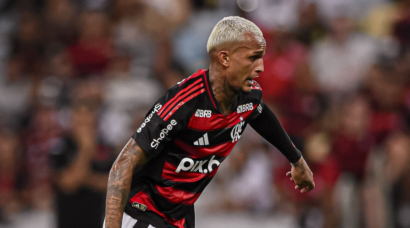 FLAMENGO DOMINA A SELEÇÃO! Confira os convocados para a Data Fifa!