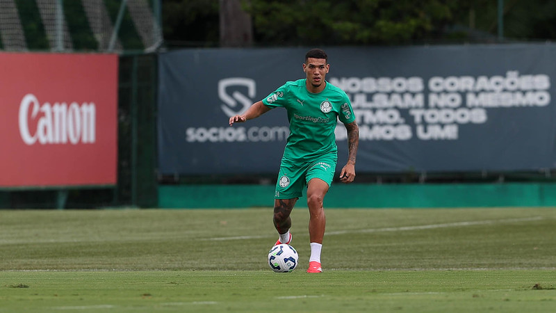 Palmeiras recusa proposta de empréstimo do Botafogo por Naves