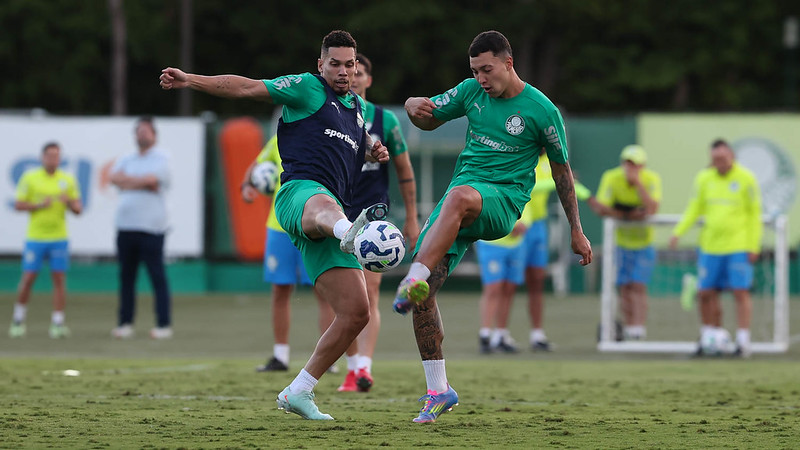 Treino do Palmeiras: Imagens do Preparo para Próximo Desafio no Campeonato.