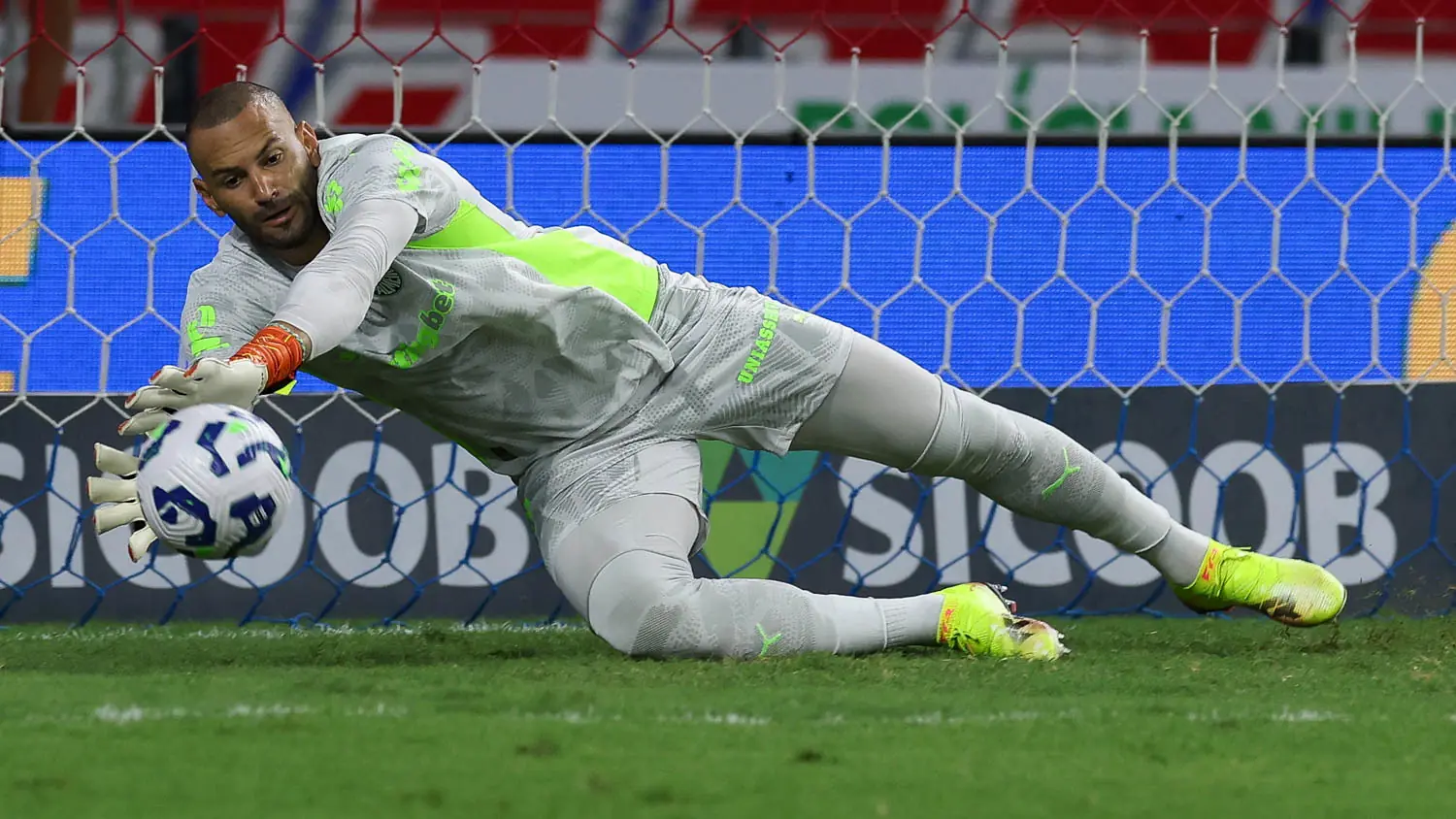 Palmeiras vence Fortaleza com pênalti defendido por Weverton e lidera o Brasileirão Imagem ilustrativa para a matéria