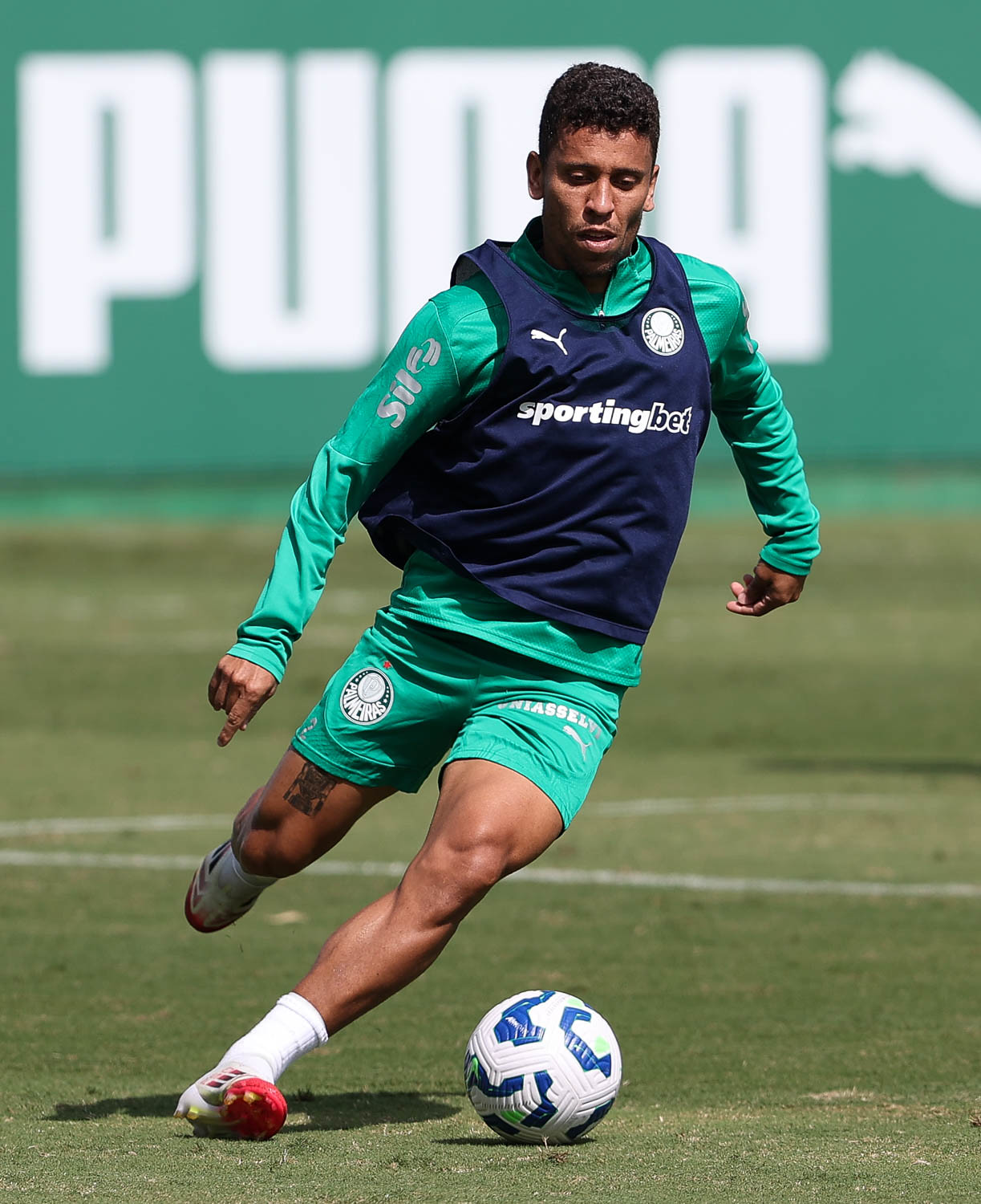 Palmeiras finaliza treinamento para enfrentar o Vasco; confira escalação provável