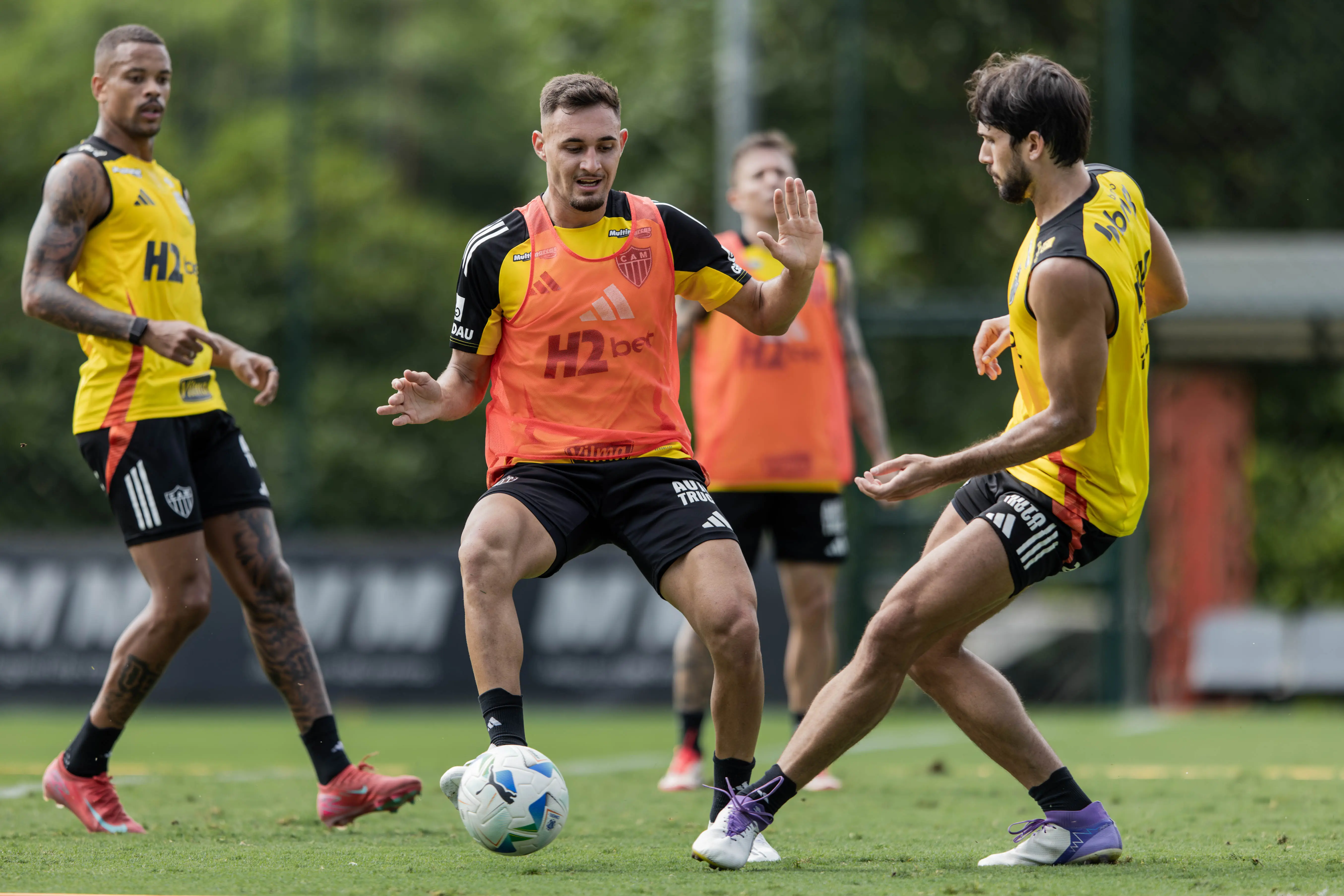 Imagem ilustrativa para a matéria