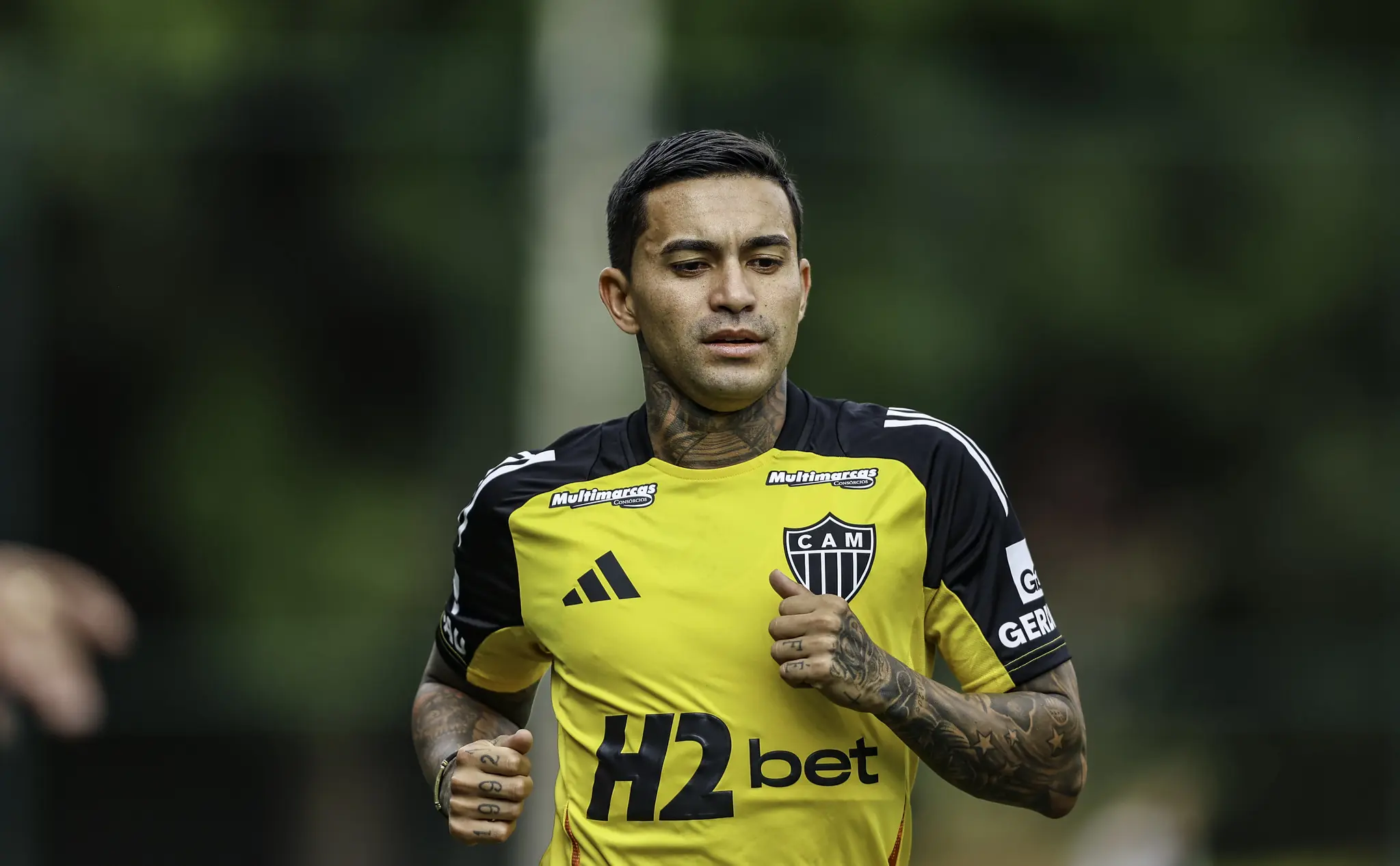 Imagem ilustrativa para a matéria