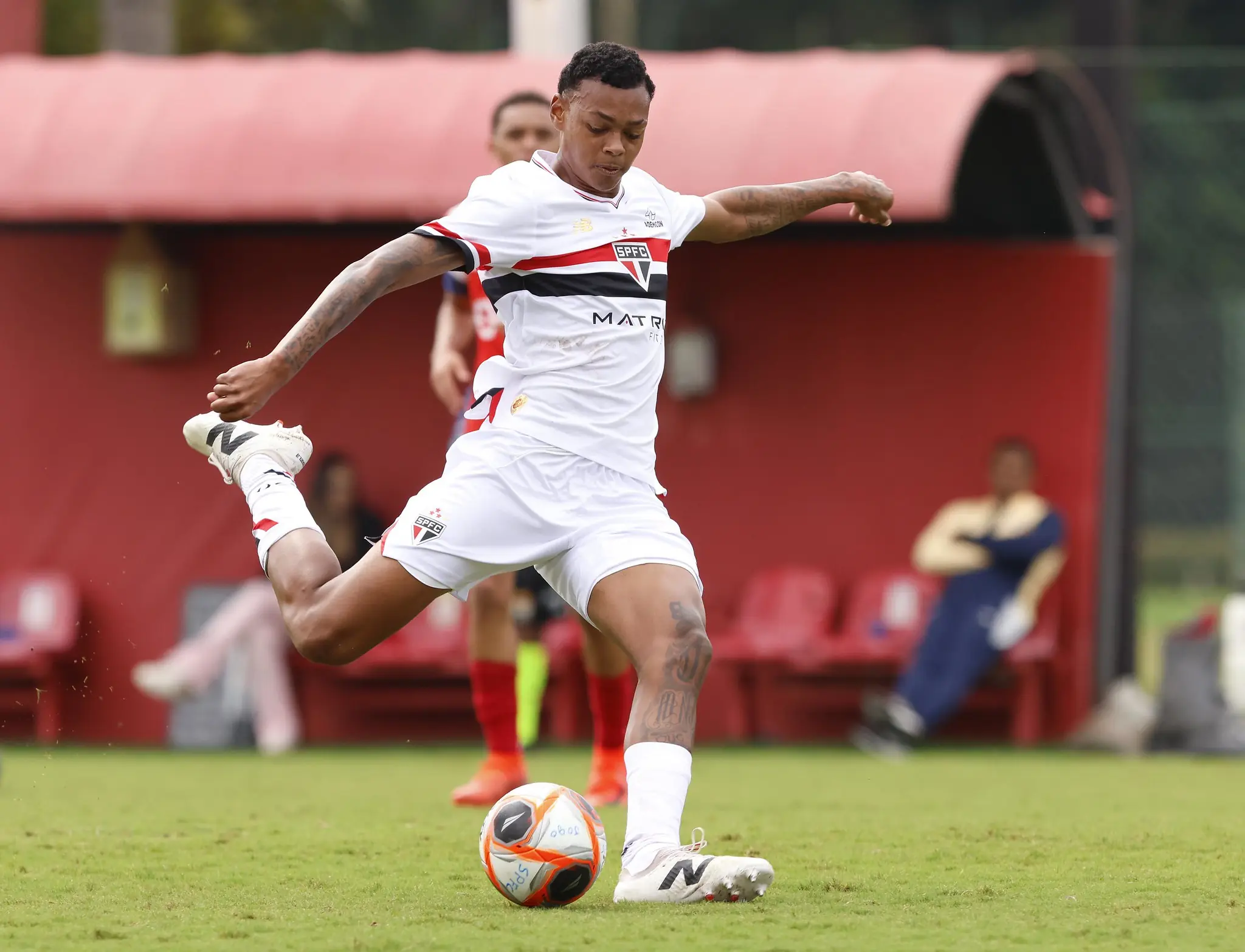 Imagem ilustrativa para a matéria