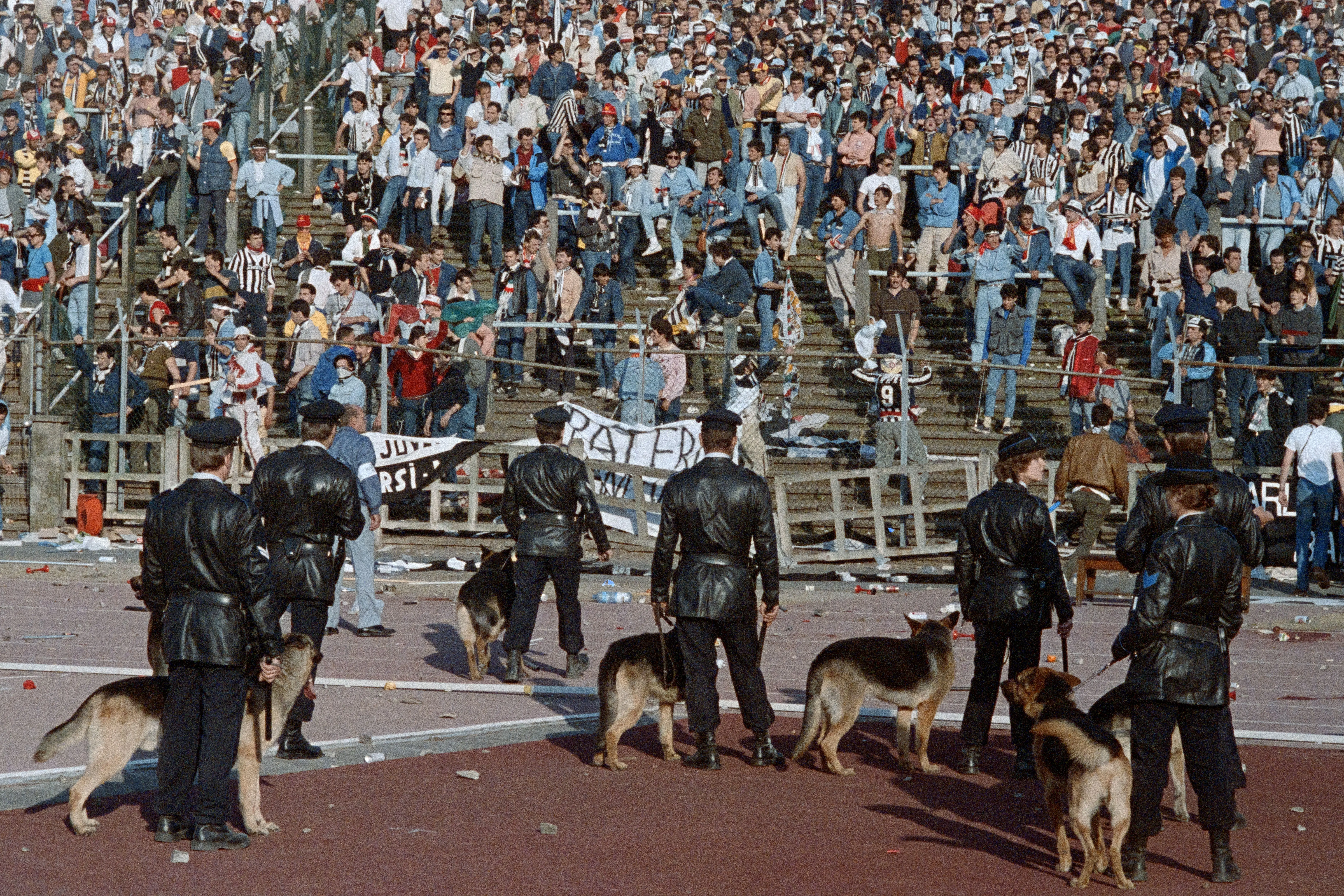 Imagem ilustrativa para a matéria