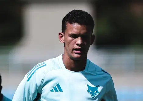 Imagem ilustrativa para a matéria