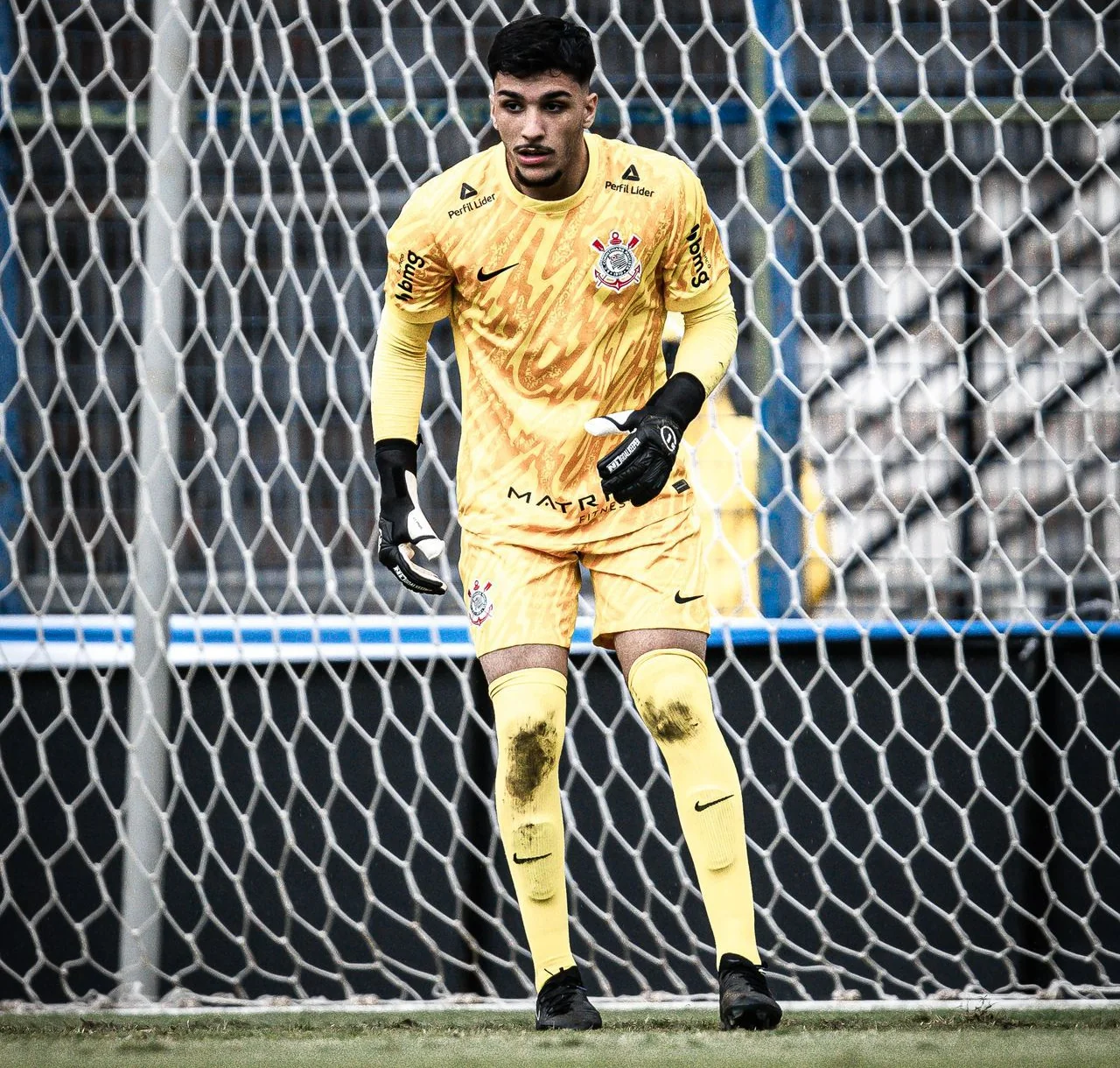 Imagem ilustrativa para a matéria