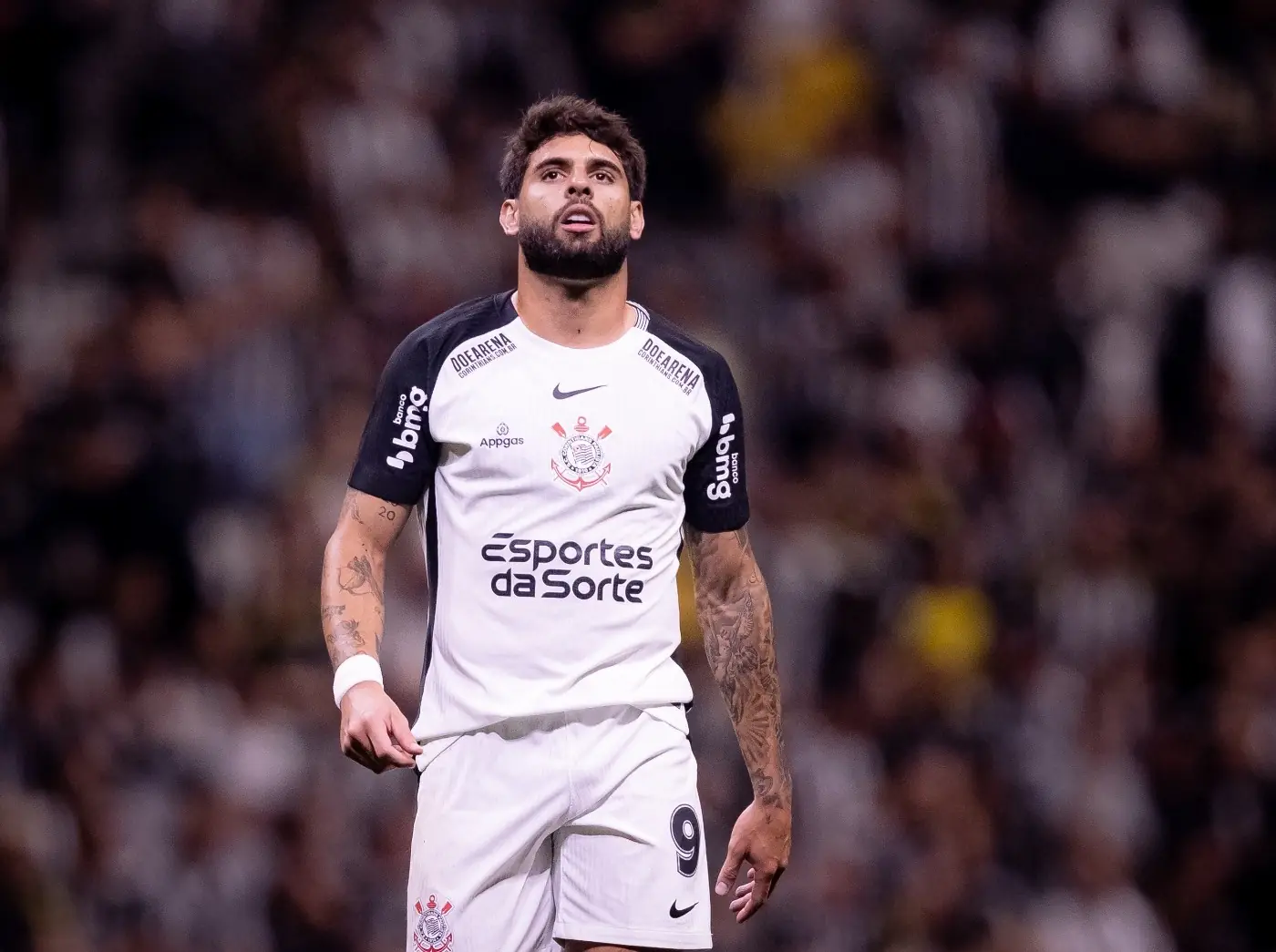 Imagem ilustrativa para a matéria