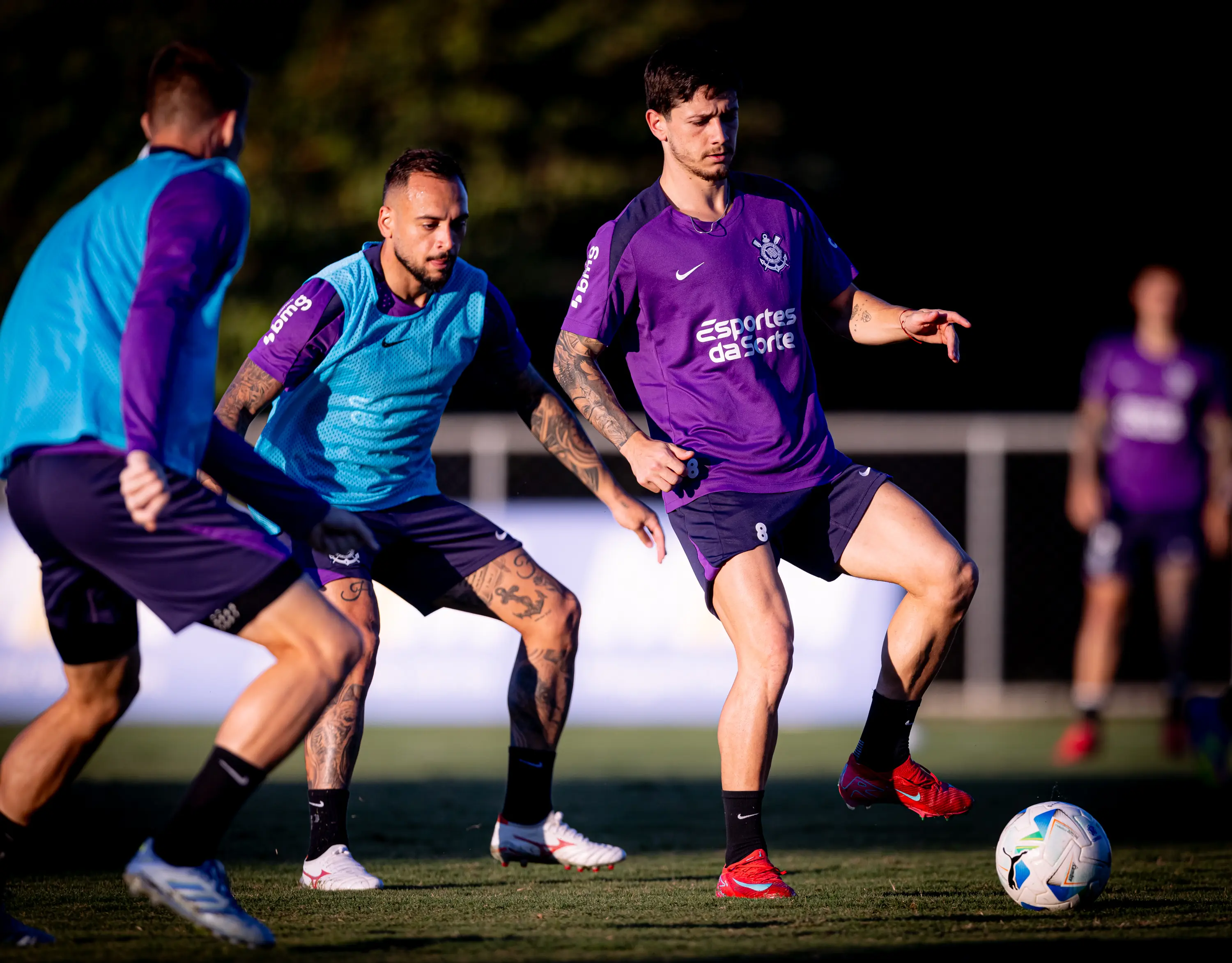 Imagem ilustrativa para a matéria