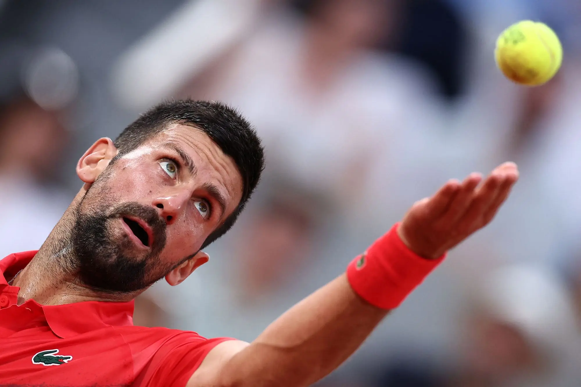 Djokovic promete voltar a Wimbledon em 2026 como jogador Imagem ilustrativa para a matéria
