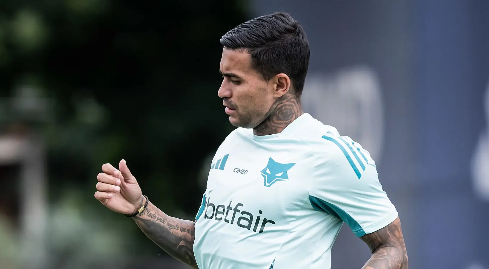 Imagem ilustrativa para a matéria