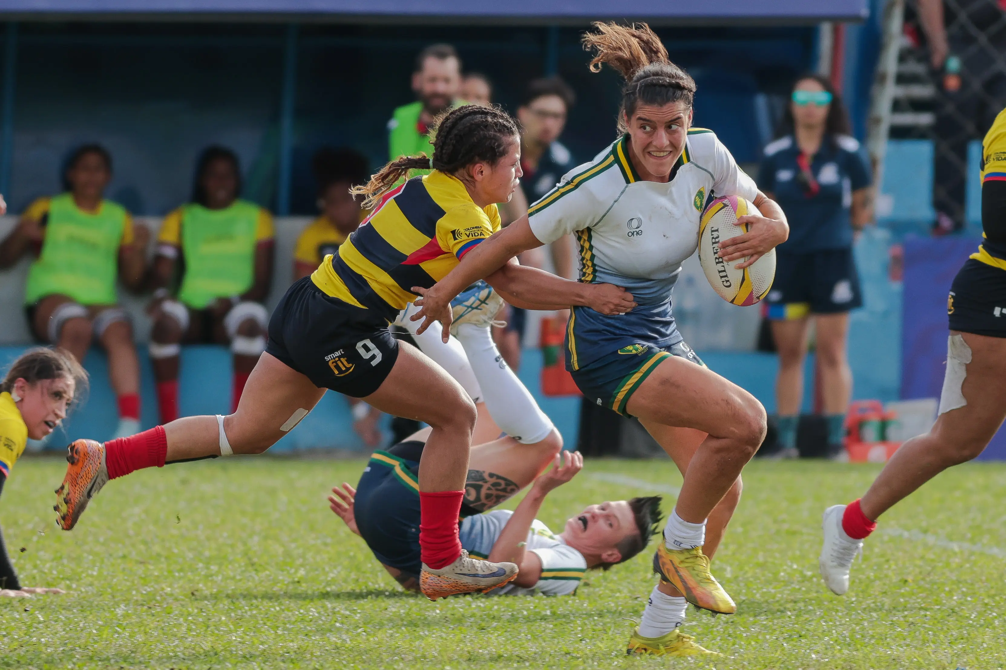 Imagem ilustrativa para a matéria