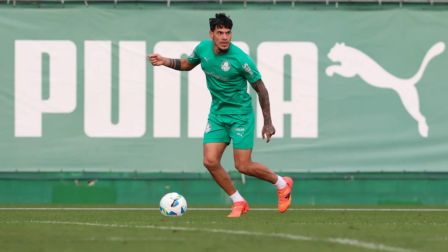 Imagem ilustrativa para a matéria