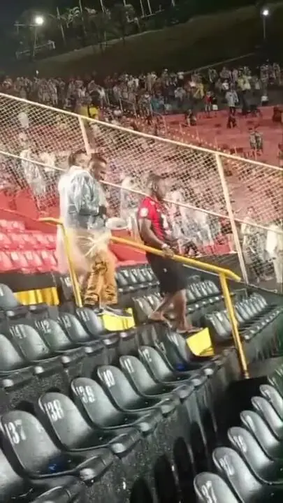 Imagem ilustrativa para a matéria