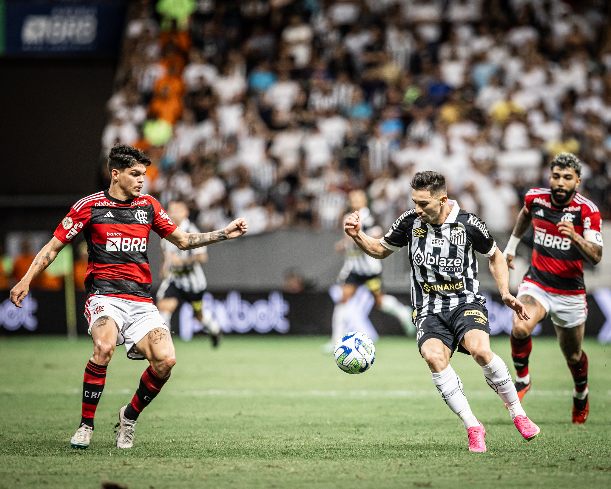 Próximo confronto! Santos x Flamengo: tudo sobre o duelo no Brasileirão