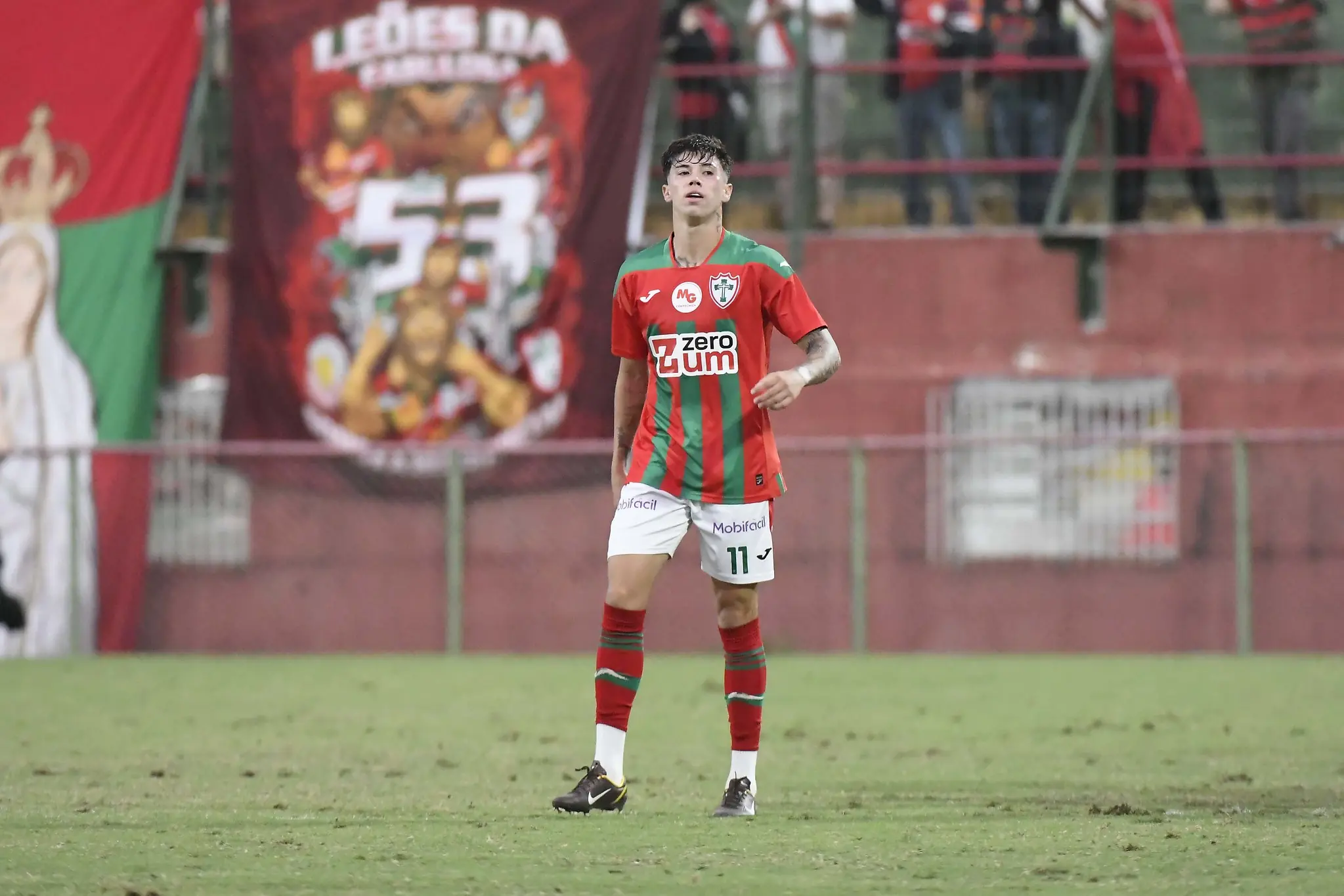 Imagem ilustrativa para a matéria