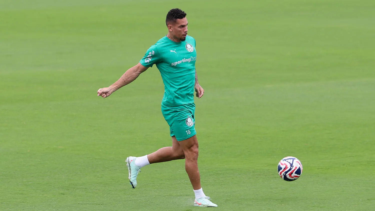 Imagem ilustrativa para a matéria