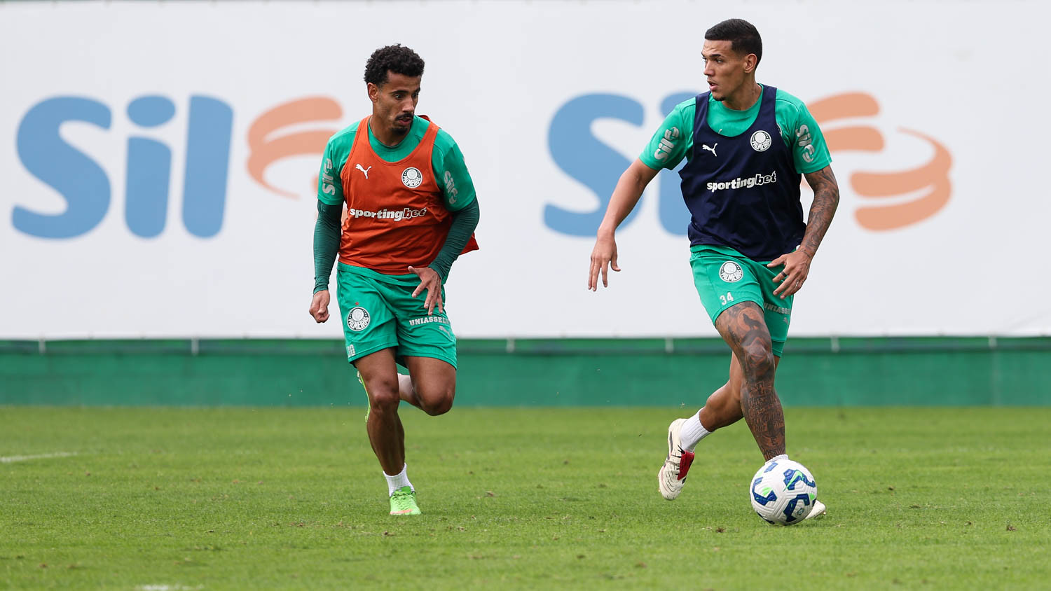 Treino do Palmeiras: Imagens da Preparação do Time para Próximo Jogo