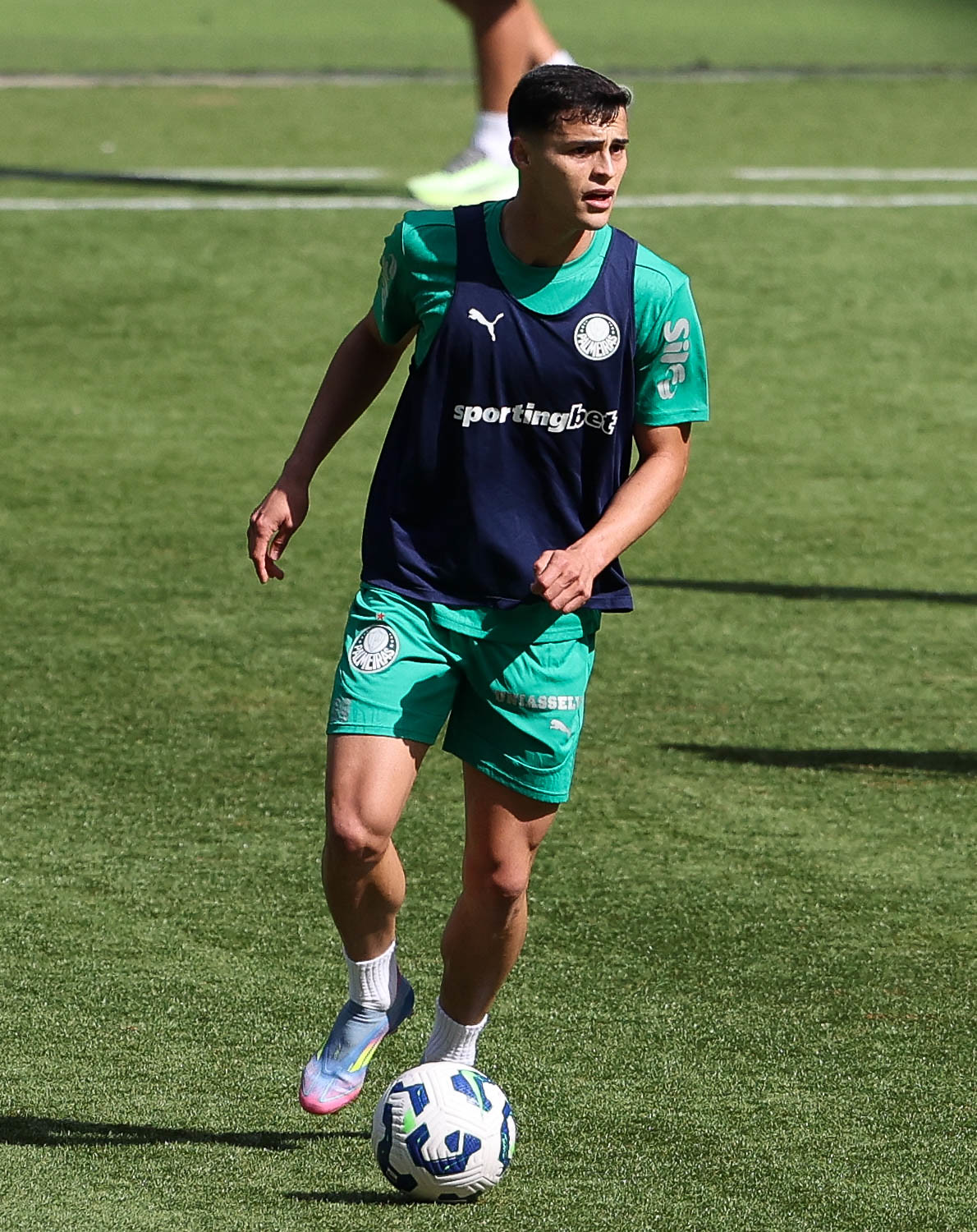 Sosa elogia estrutura do Allianz Parque e projeta estreia no Palmeiras.
