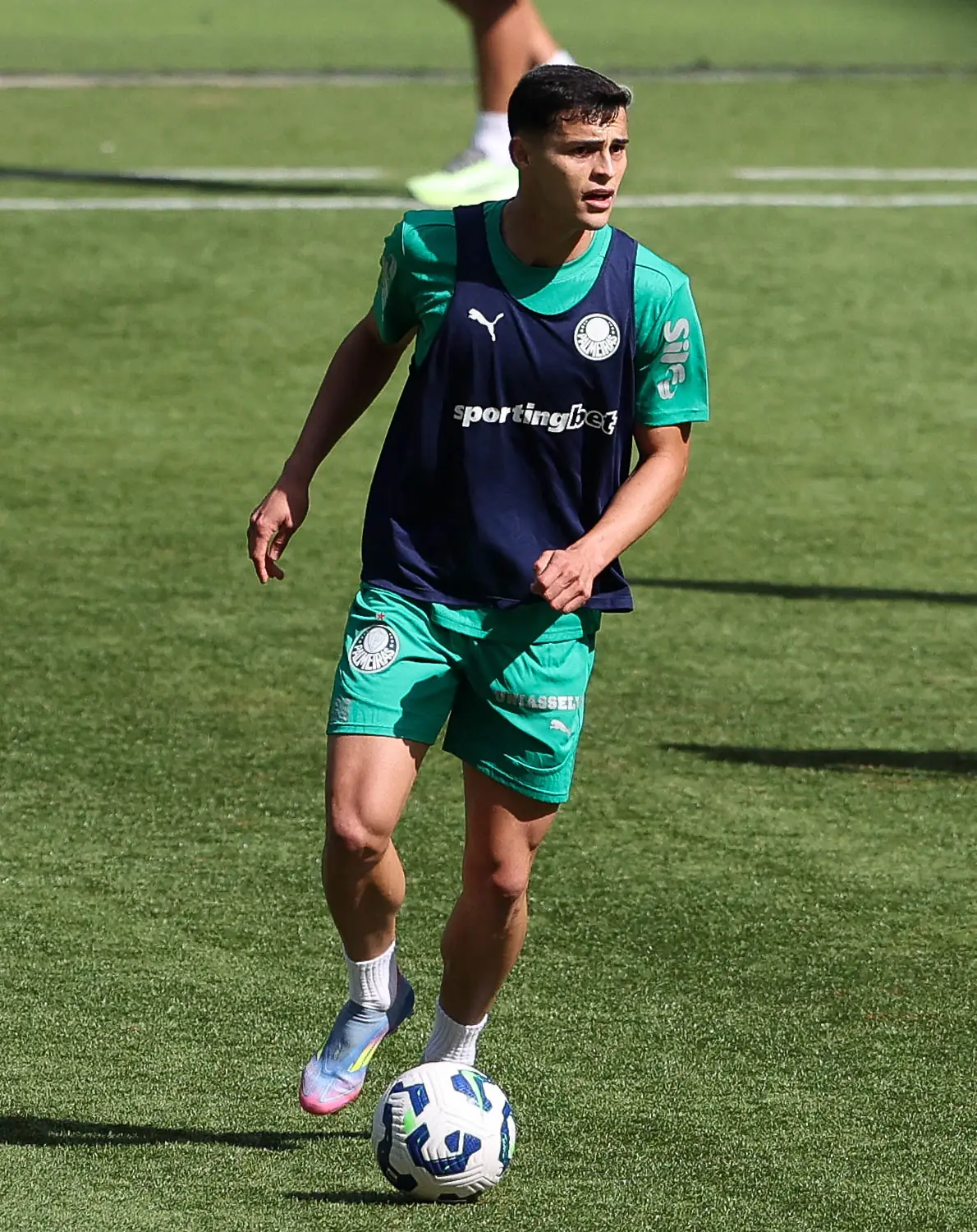 Imagem ilustrativa para a matéria