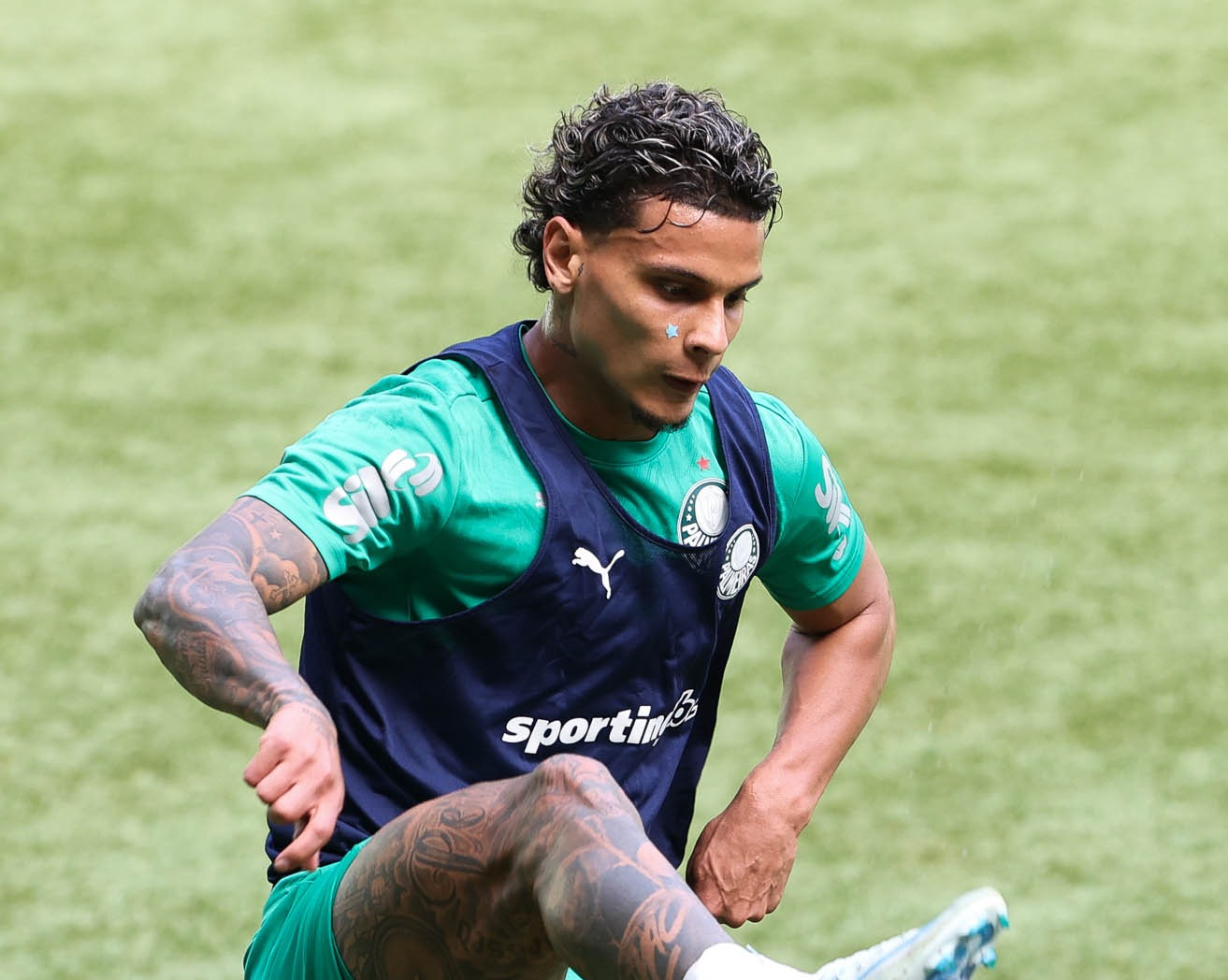 Palmeiras acerta venda de Richard Ríos para o Benfica - Gazeta Esportiva