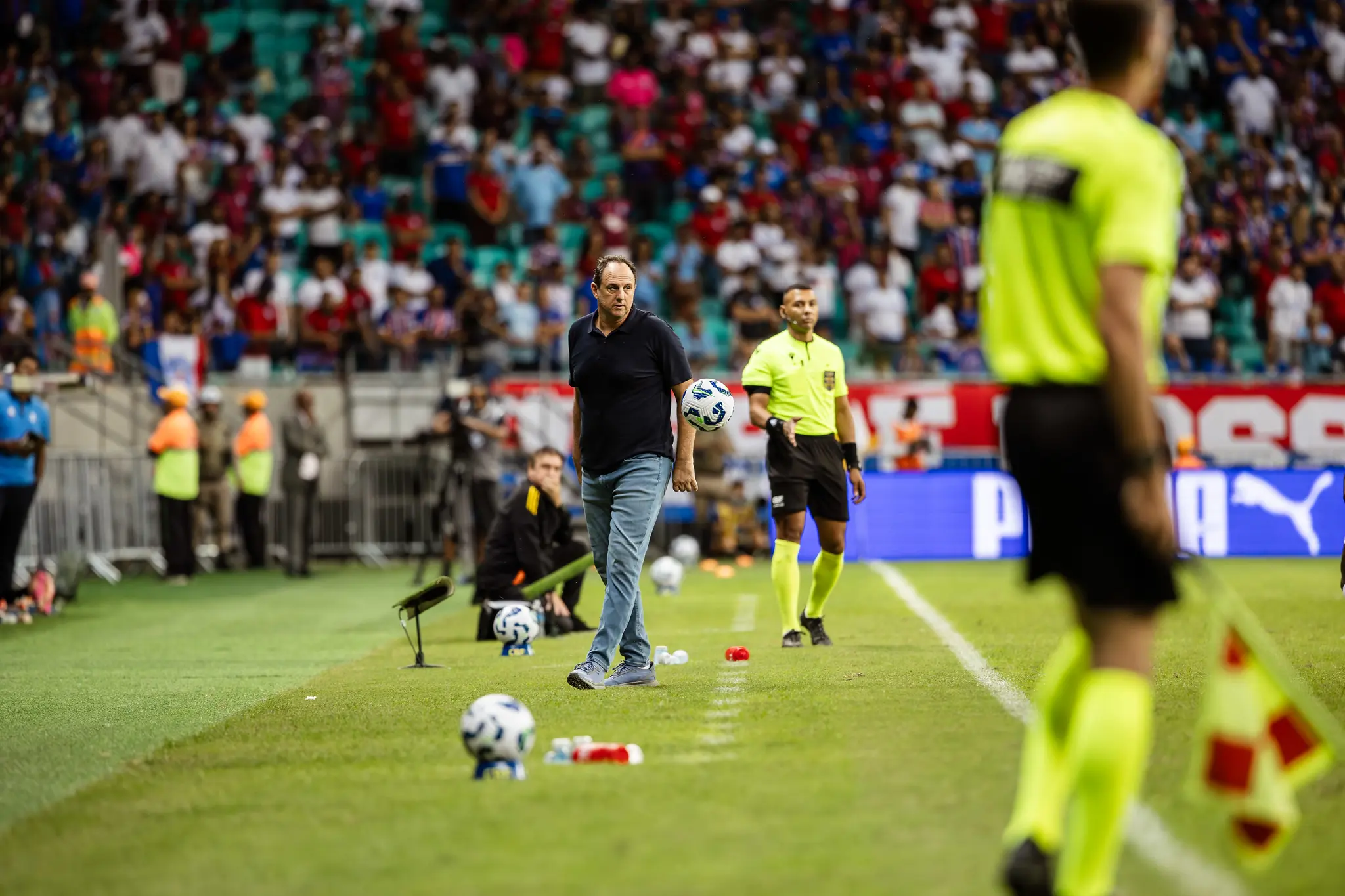 Imagem ilustrativa para a matéria