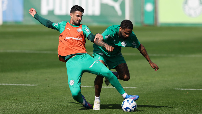 Palmeiras inicia preparação para enfrentar Fluminense após vitória importante.