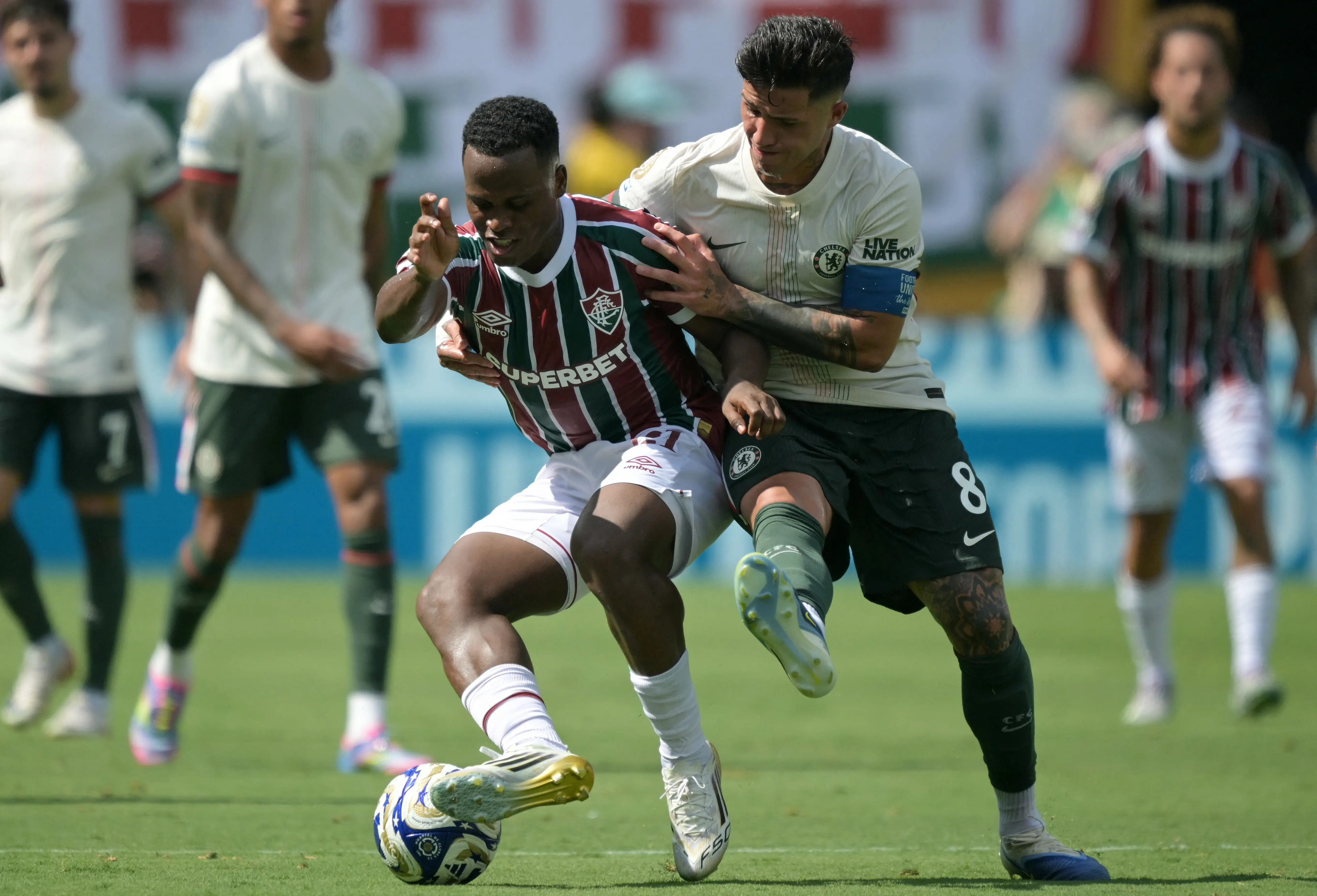 Imagem ilustrativa para a matéria