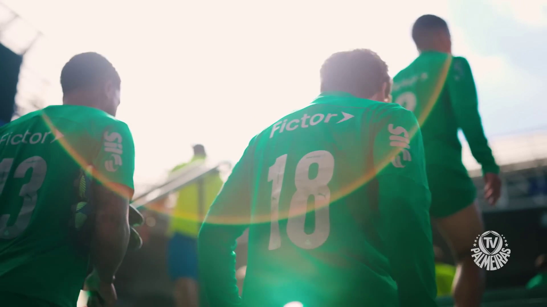 Reforma na Academia leva Palmeiras a treinar no Allianz Parque.