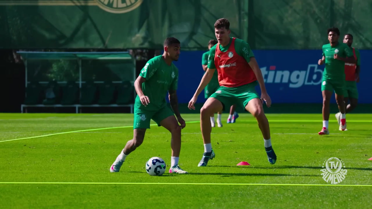 Palmeiras Inicia Preparação Para Visitar o Fluminense Pelo Brasileirão