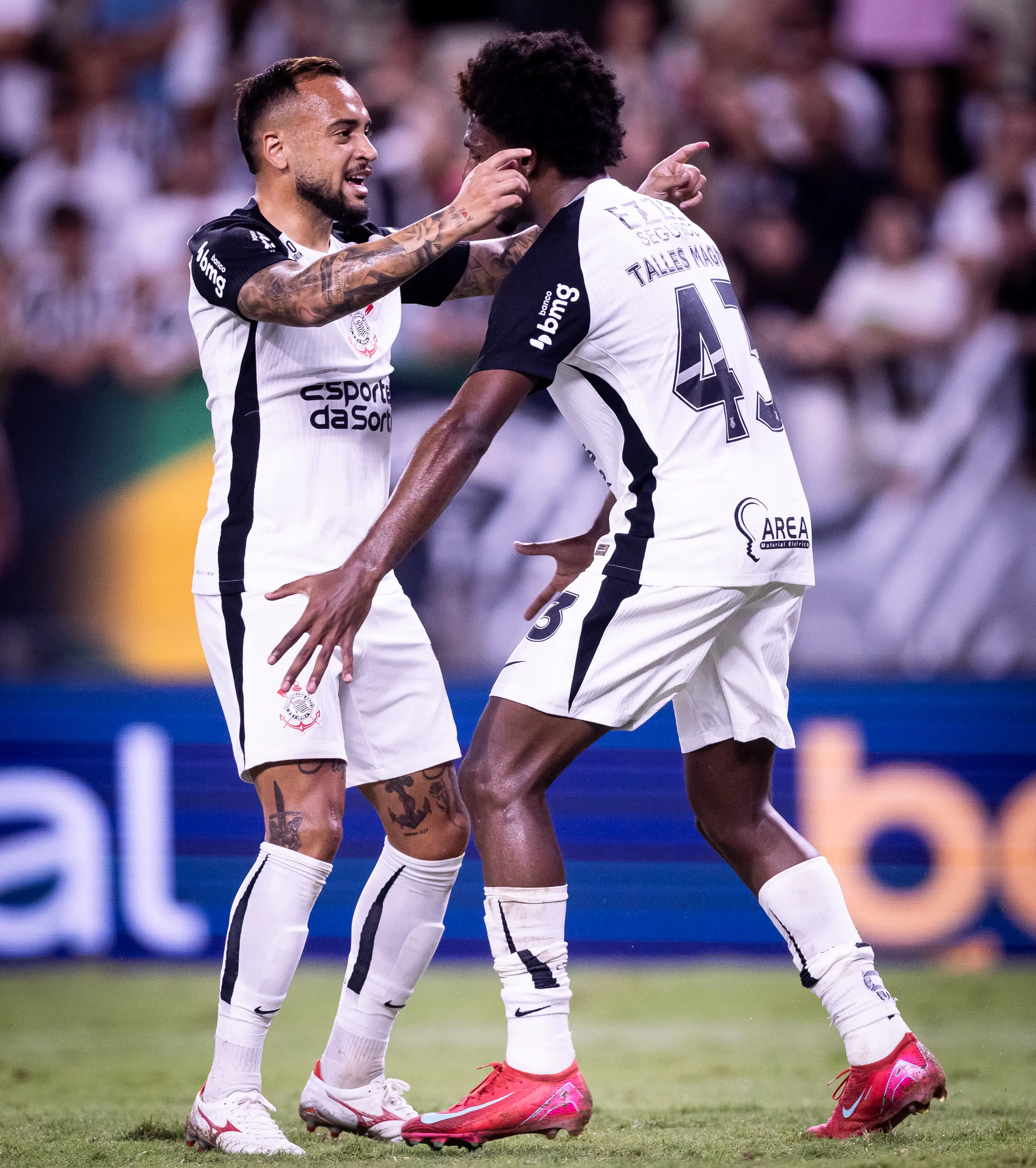 Imagem ilustrativa para a matéria