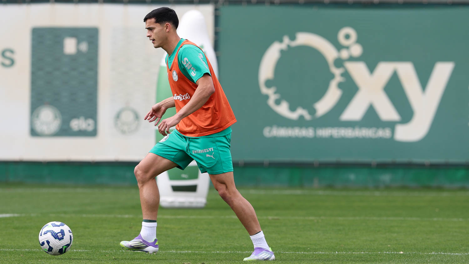 Sosa cita rápida adaptação ao Palmeiras e promete antes do Derby: 