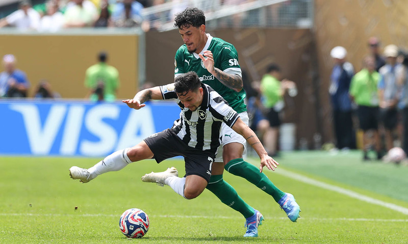 botafogo x palmeiras: onde assistir ao jogo da 20ª rodada do brasileirão