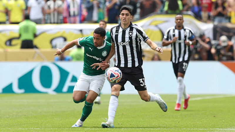 Botafogo x Palmeiras: Como Assistir, Estatísticas, Histórico e Escalações no Brasileirão