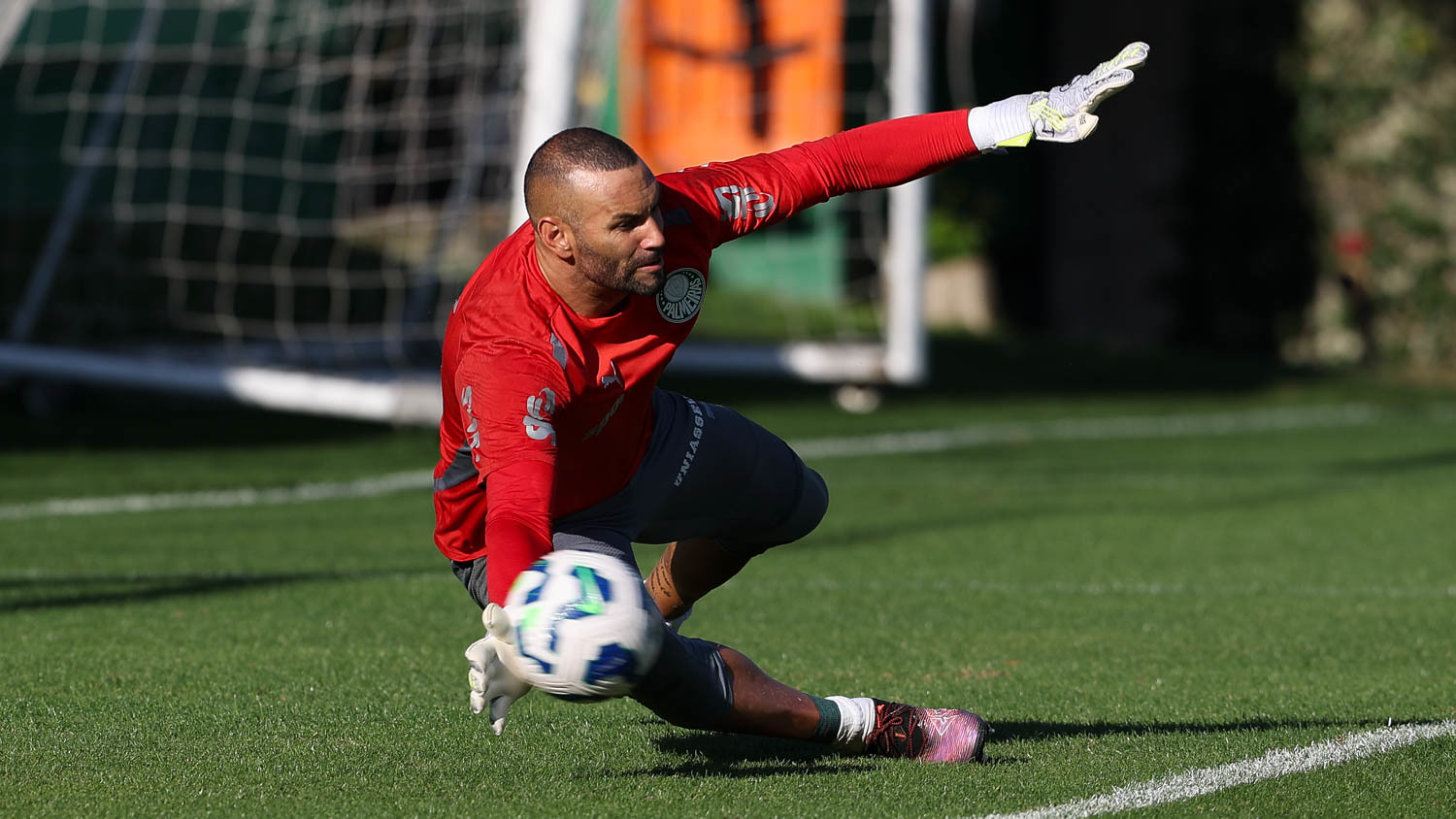 Treino do Palmeiras: Imagens da Preparação da Equipe nesta Sexta-feira