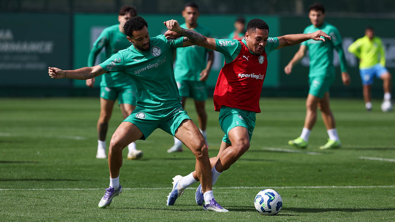 Reforço de última hora e mudanças no Verdão: veja como o Palmeiras vai a campo contra o Vitória!
