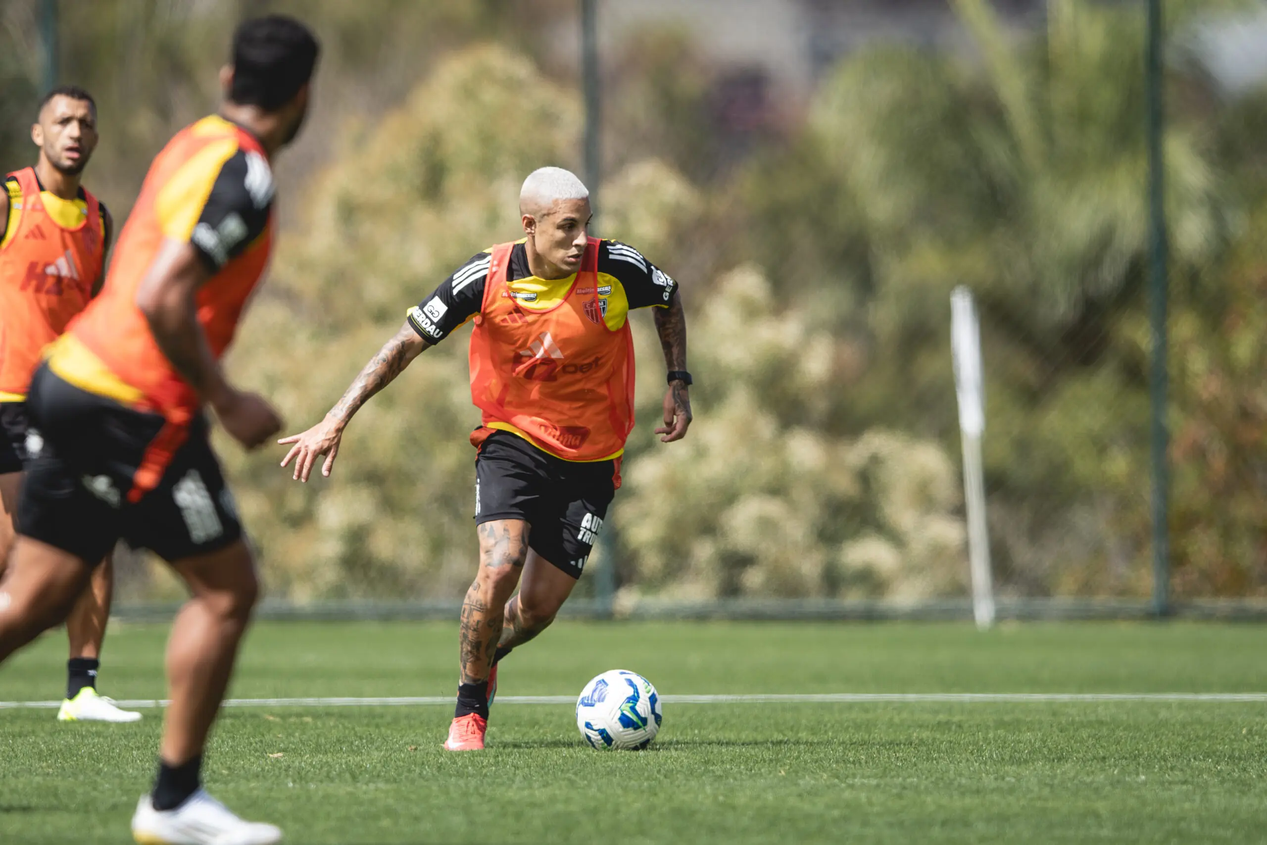 Imagem ilustrativa para a matéria