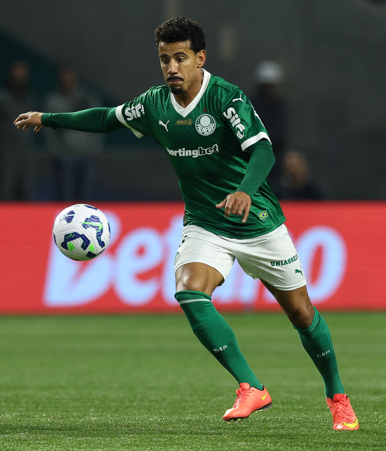 Torcida do Palmeiras reage positivamente e considera temporada 