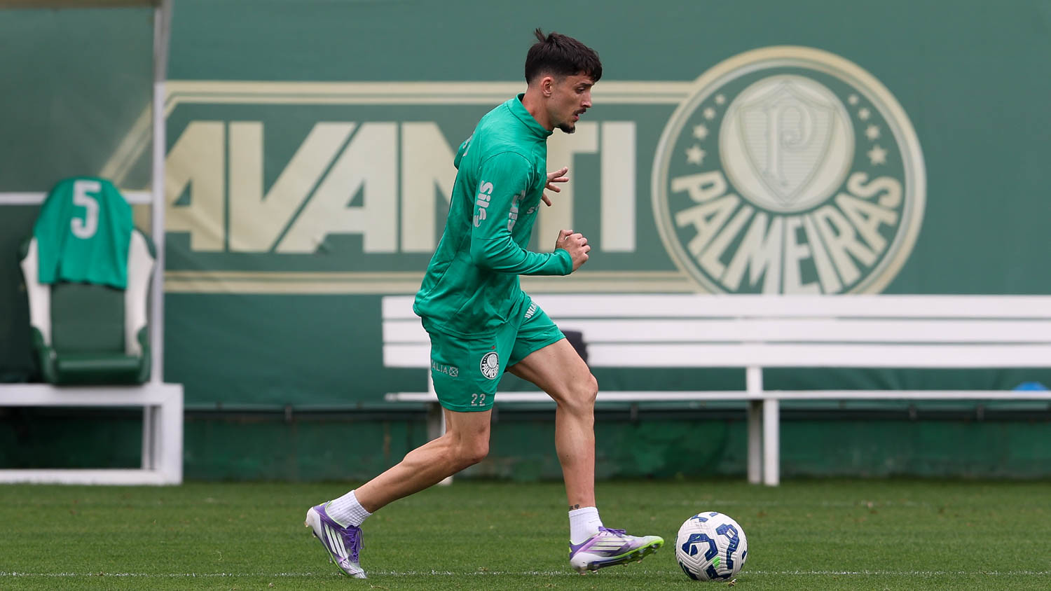 Treino do Palmeiras deste Sábado: Imagens da Preparação para Próximo Jogo