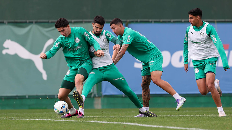 Palmeiras busca manter invencibilidade na Libertadores em palco da final