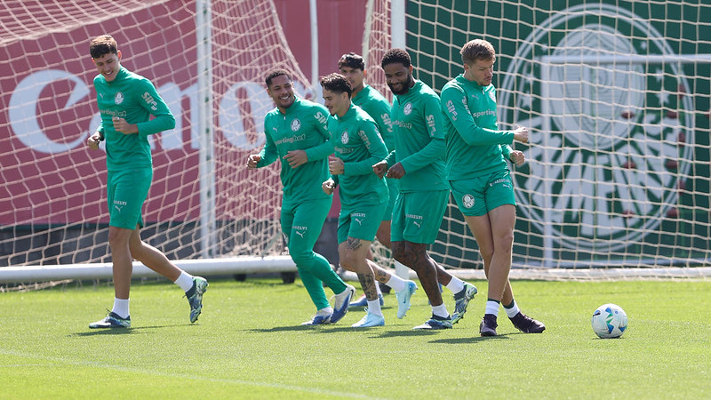 DESFALQUES IMPORTANTES!! Em clima de decisão Verdão tem desfalques importantes pra Libertadores!