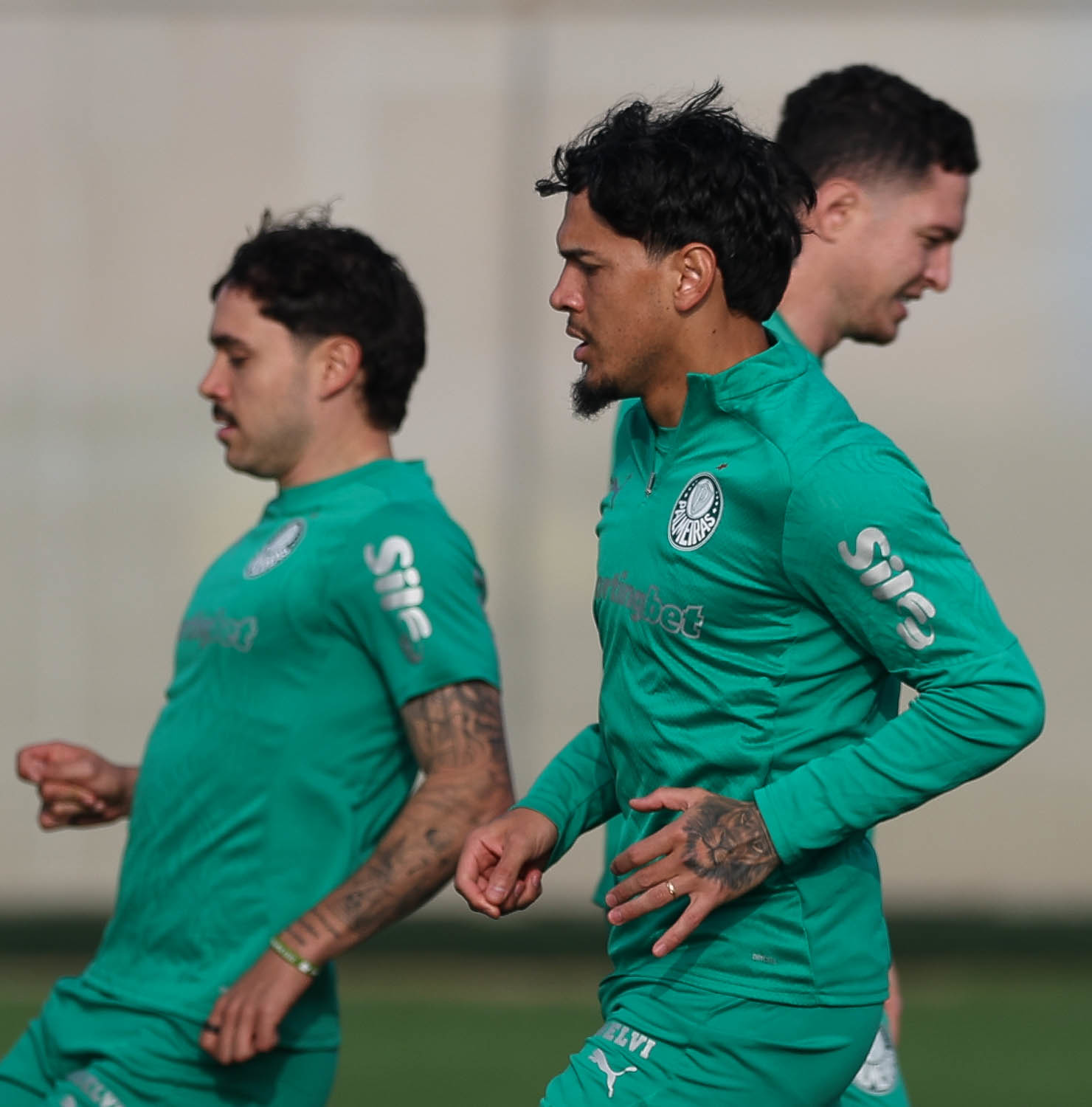 Último treino do Palmeiras visando jogo contra o Universitario no foco total.