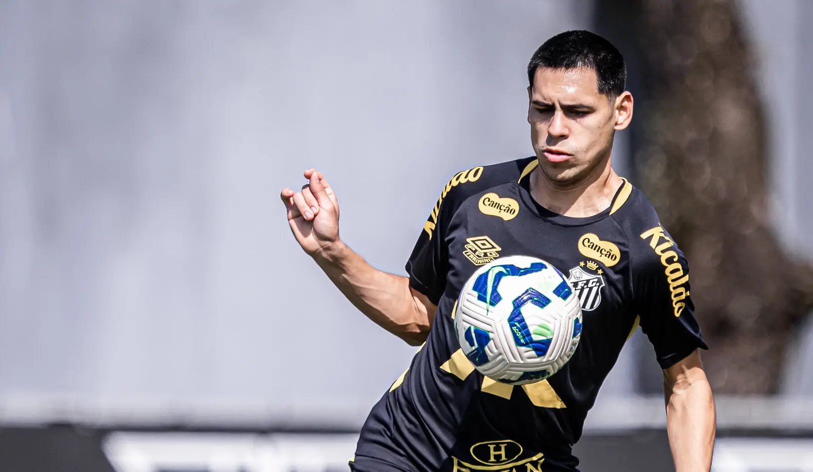 Imagem ilustrativa para a matéria