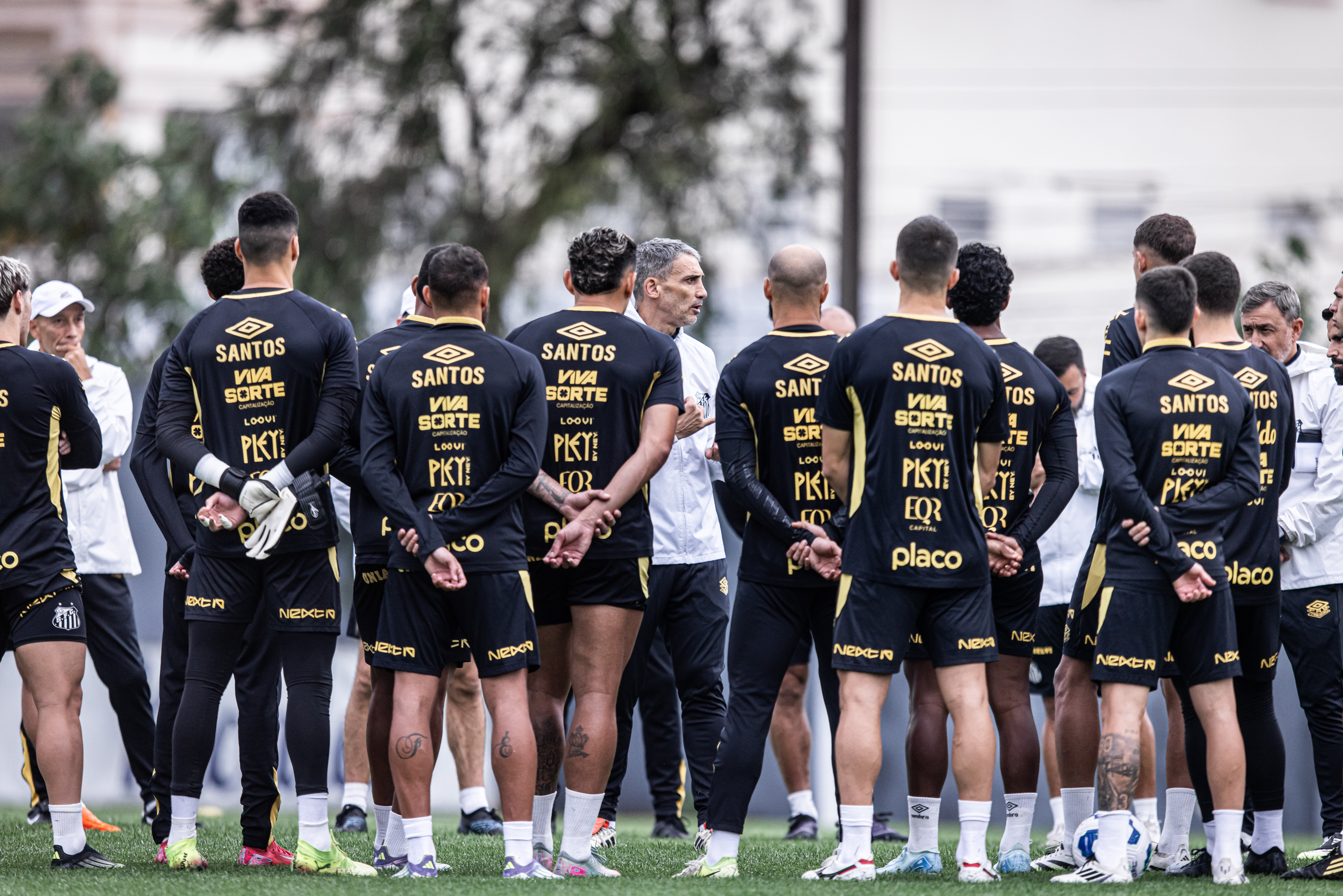 Veja jogadores que miram nova vida no Santos após a chegada de Vojvoda