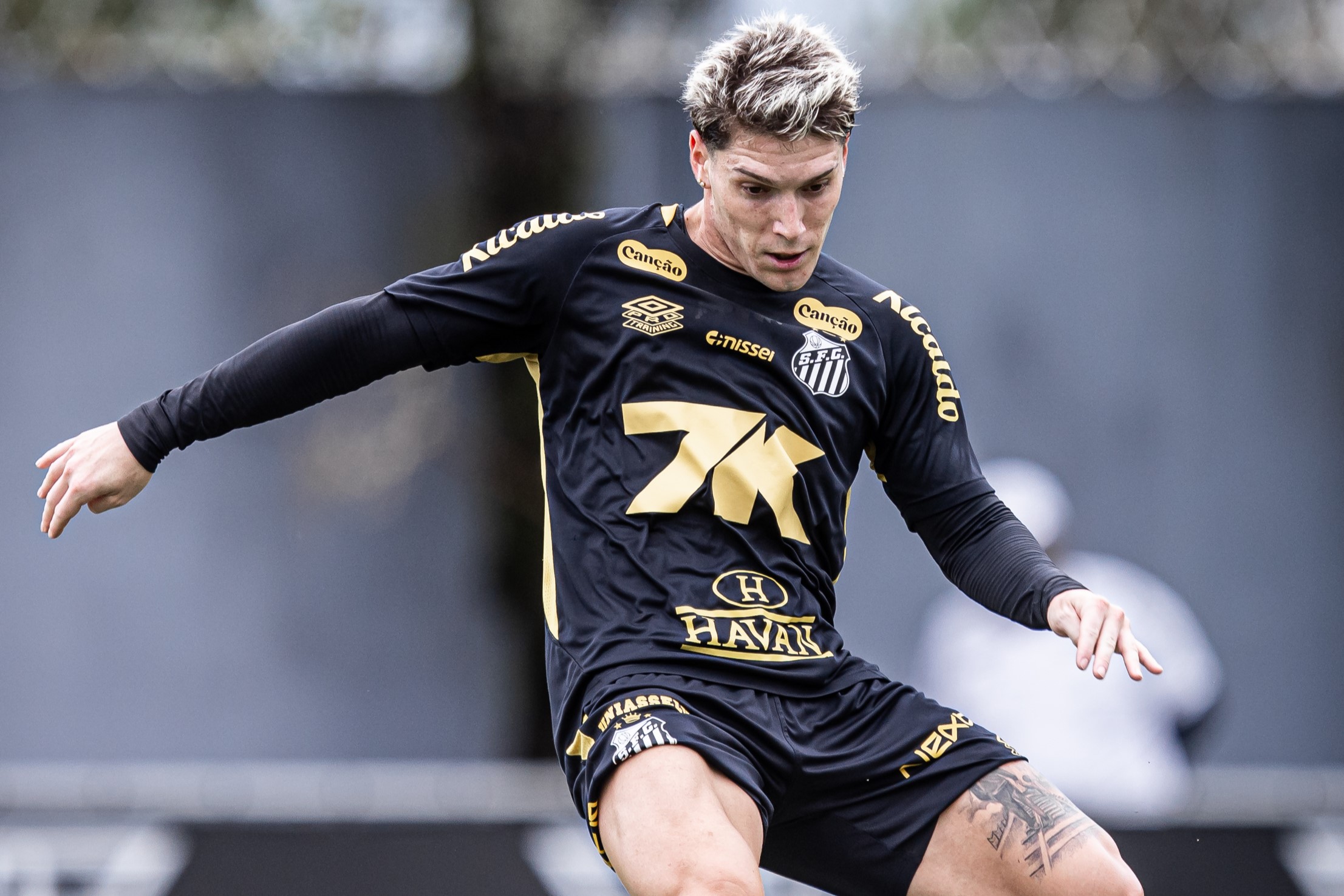 Rollheiser aprova primeiros dias de Vojvoda no Santos e mira reação contra o Fluminense