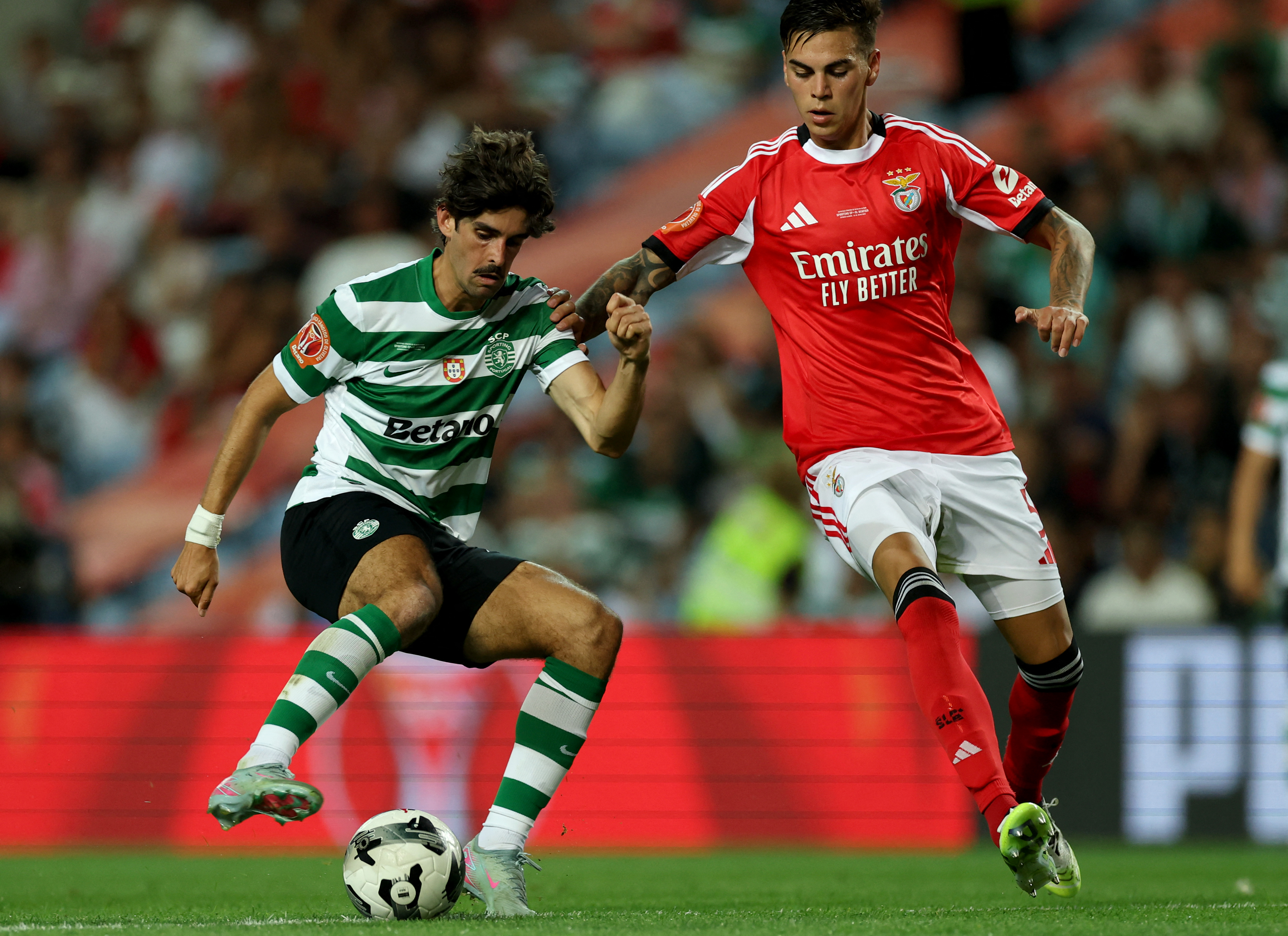 Casa Pia x Sporting: veja onde assistir e prováveis escalações do jogo ...