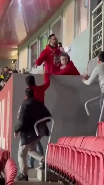 Imagem ilustrativa para a matéria