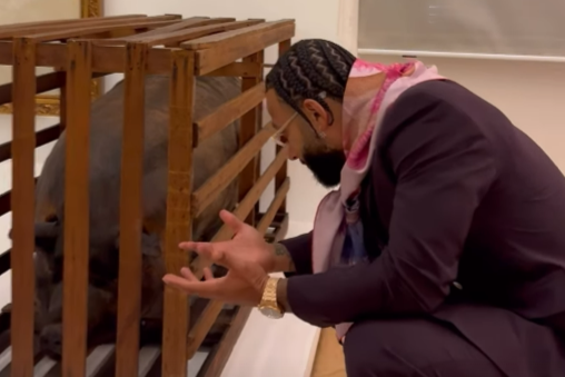 Memphis provoca após Derby com vídeo de porco enjaulado; assista.