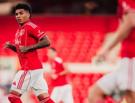 Imagem ilustrativa para a matéria