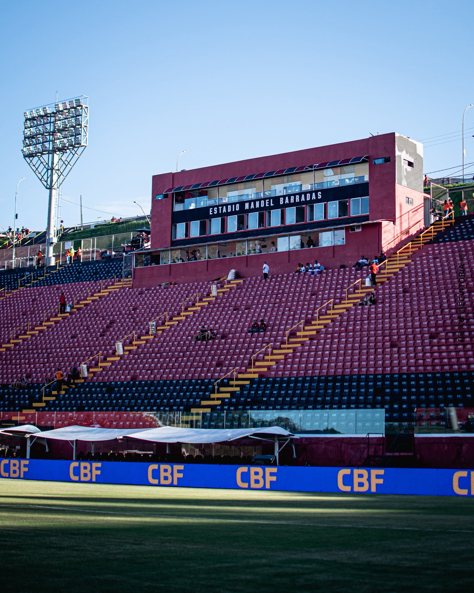 Vitória x Palmeiras: confronto pela rodada do Brasileirão em destaque.